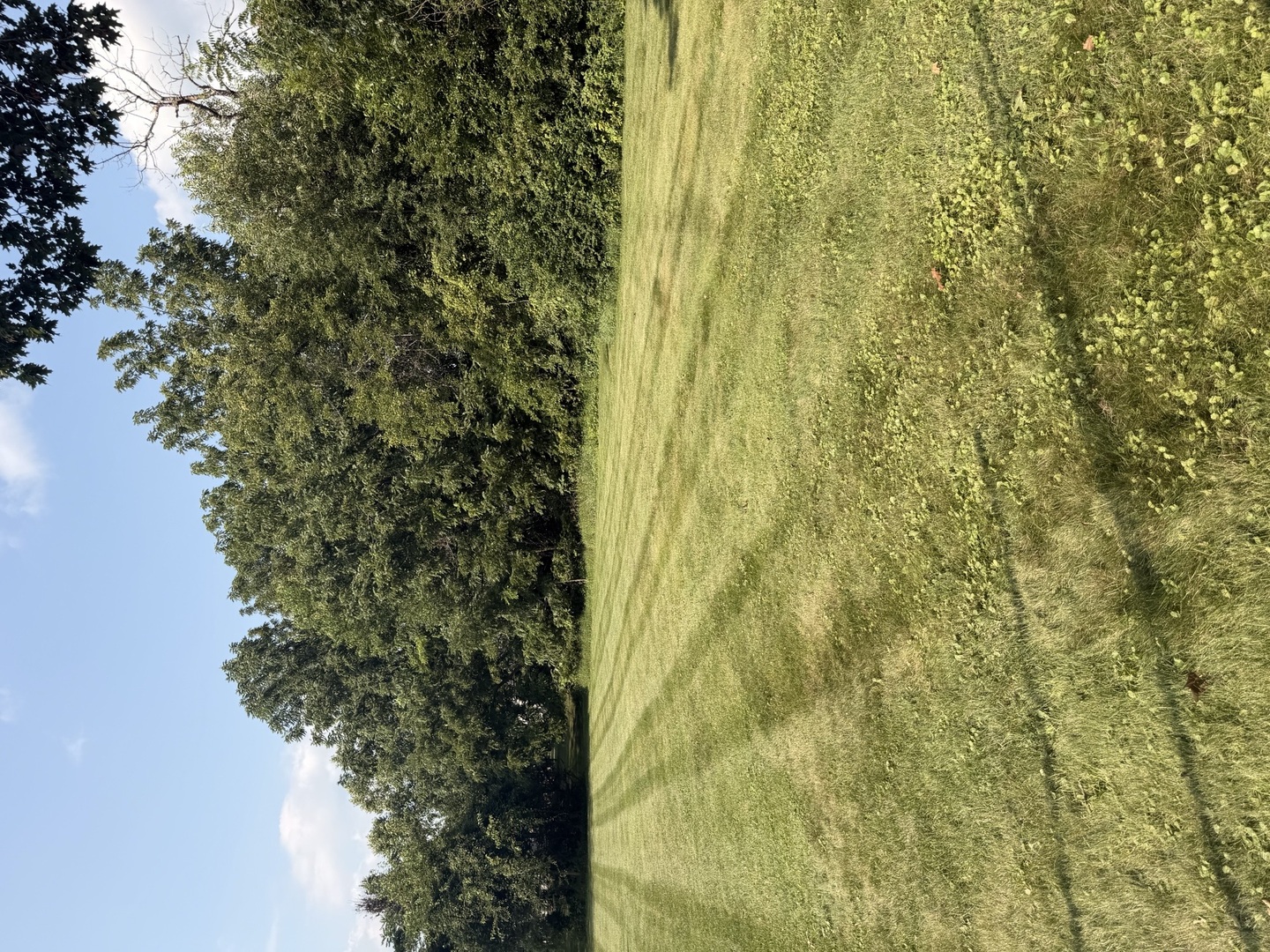 915 Sunset Drive Property Photo 8