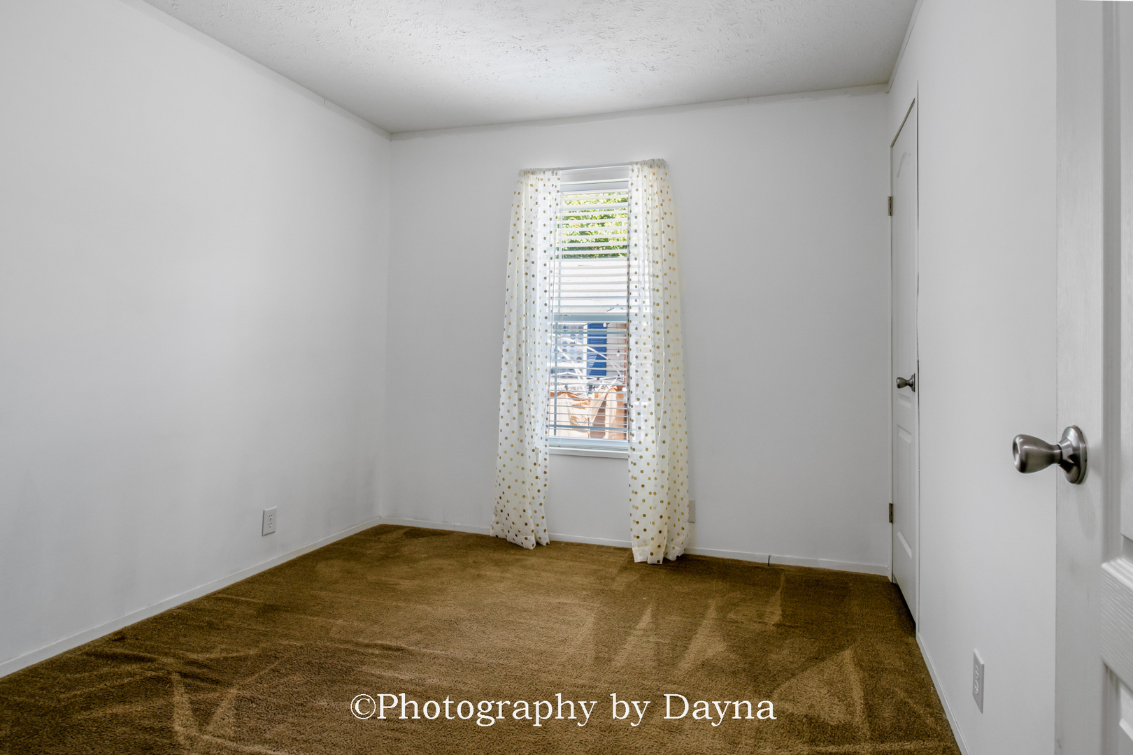 97 Big Chief Drive Property Photo 15
