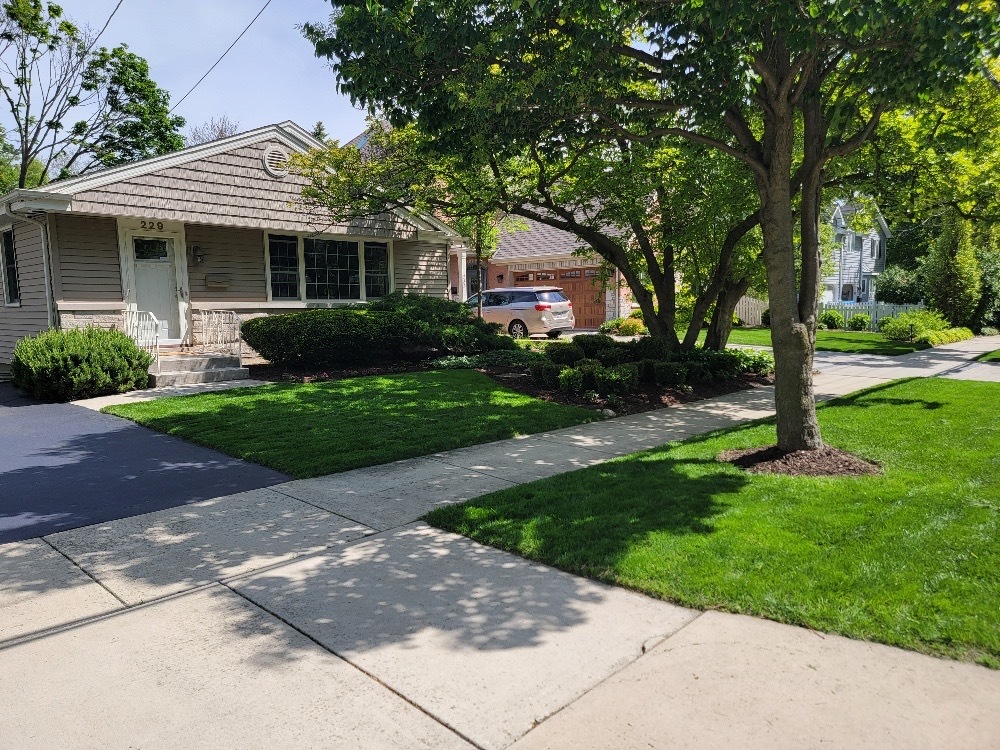 229 Fuller Road Property Photo 2