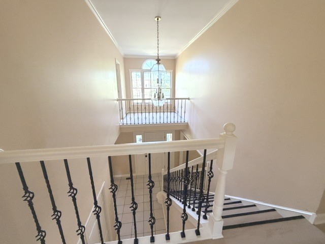 2619 Modaff Road Property Photo 17