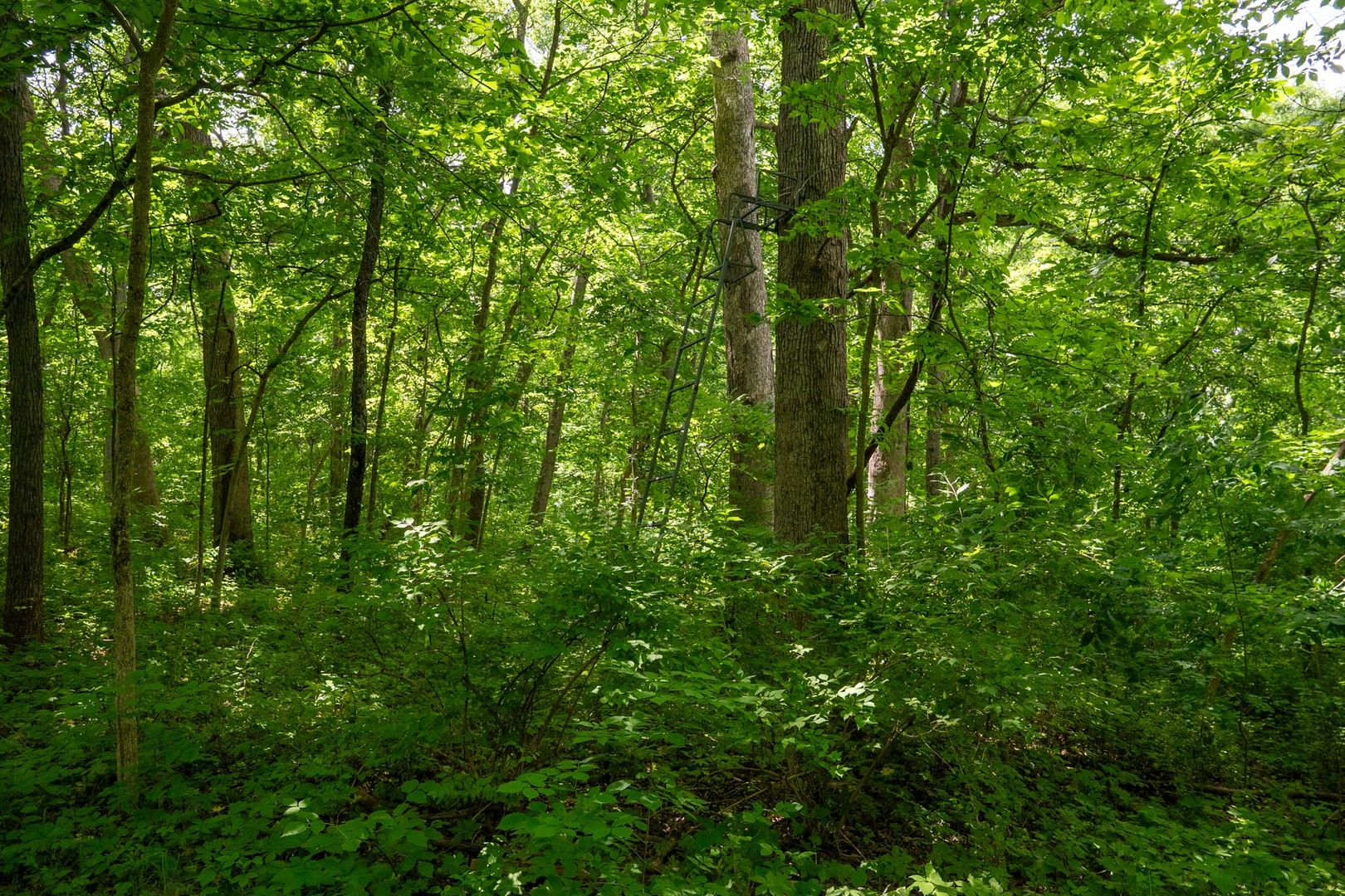 13682 Stateline Road Property Photo 5