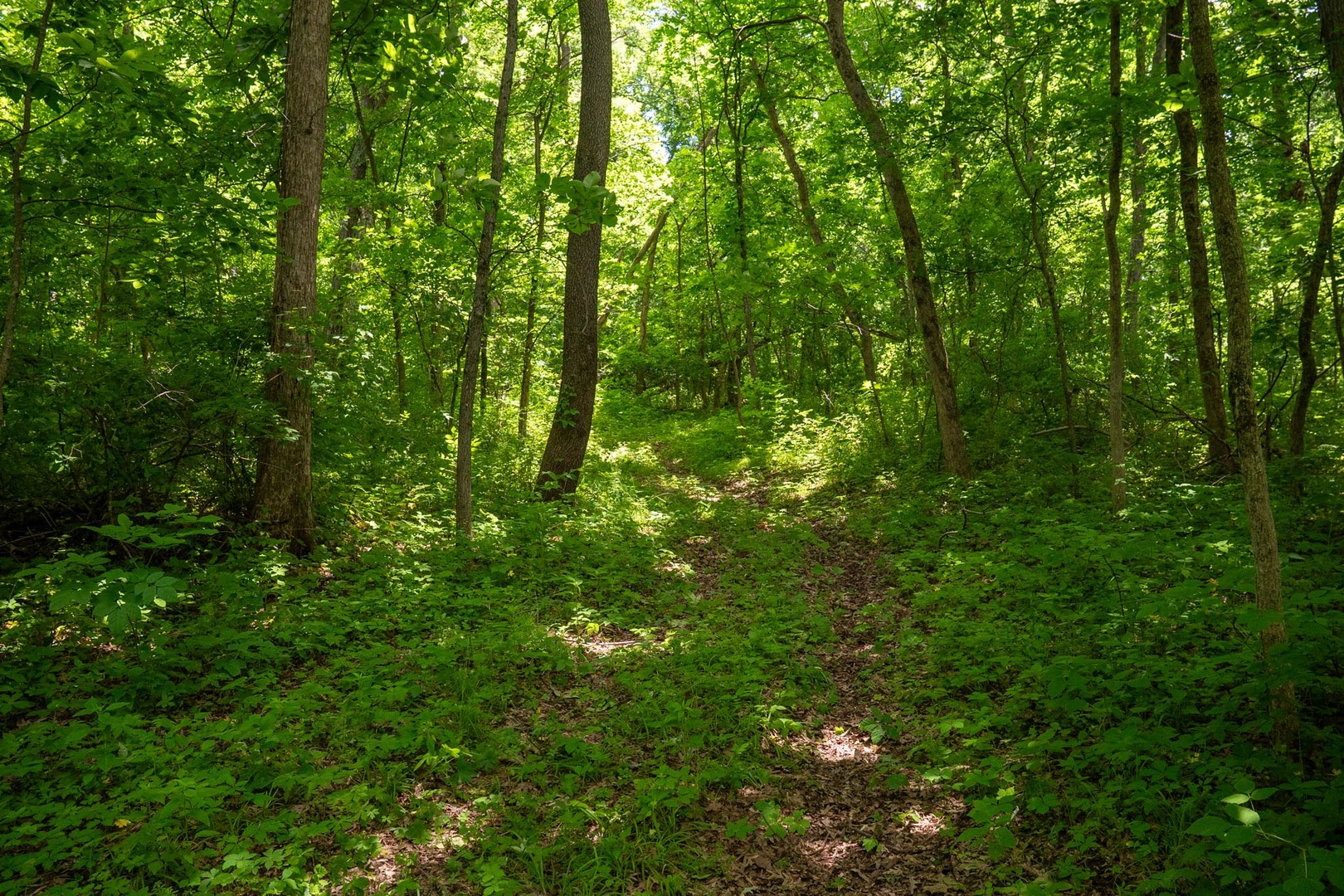 13682 Stateline Road Property Photo 6