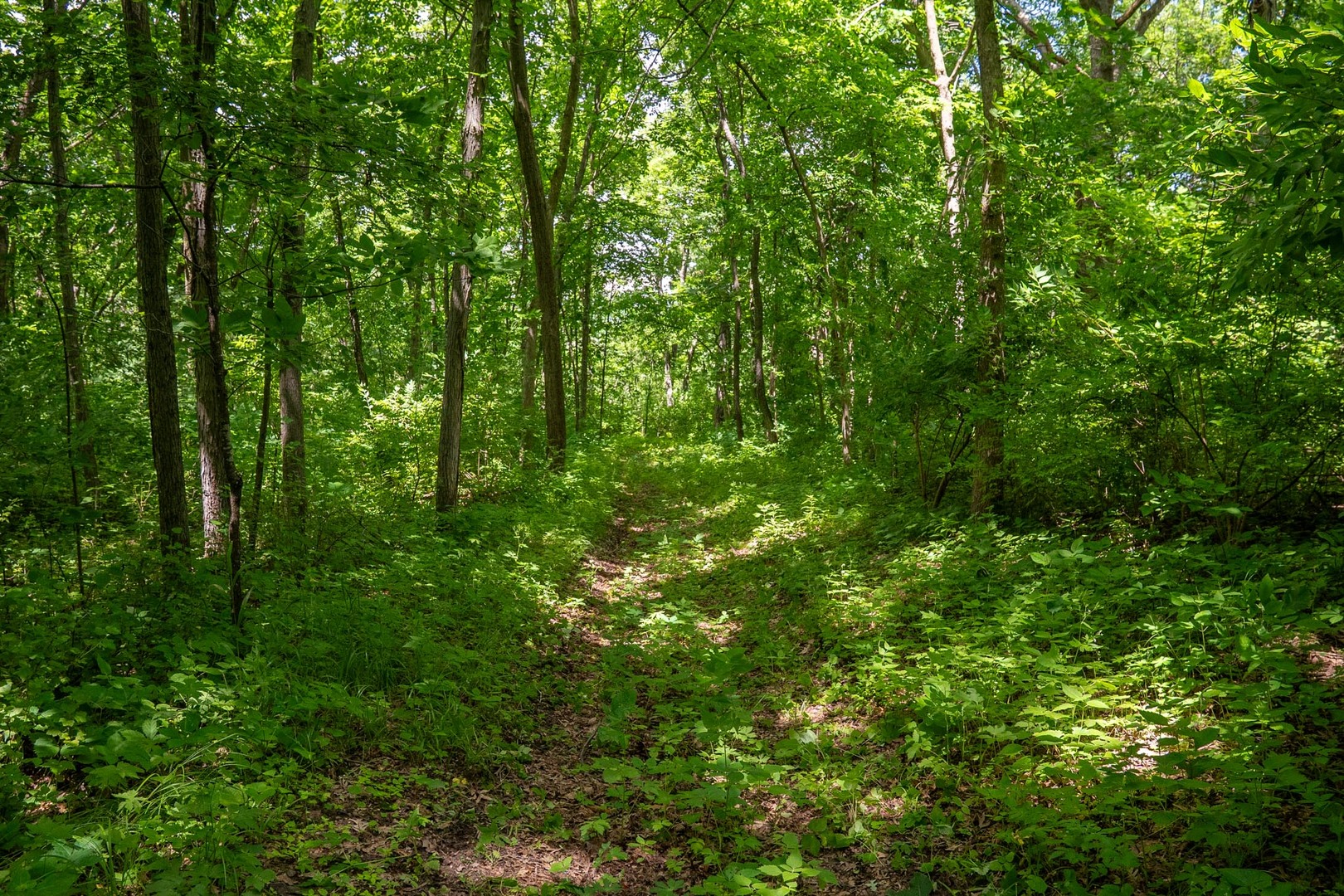 13682 Stateline Road Property Photo 7