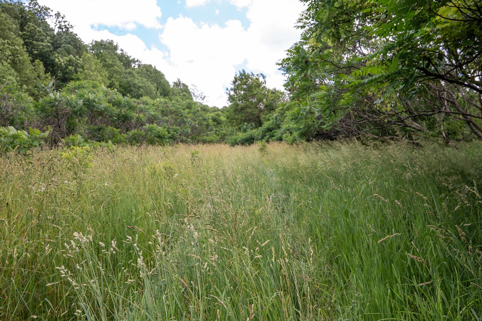 13682 Stateline Road Property Photo 8