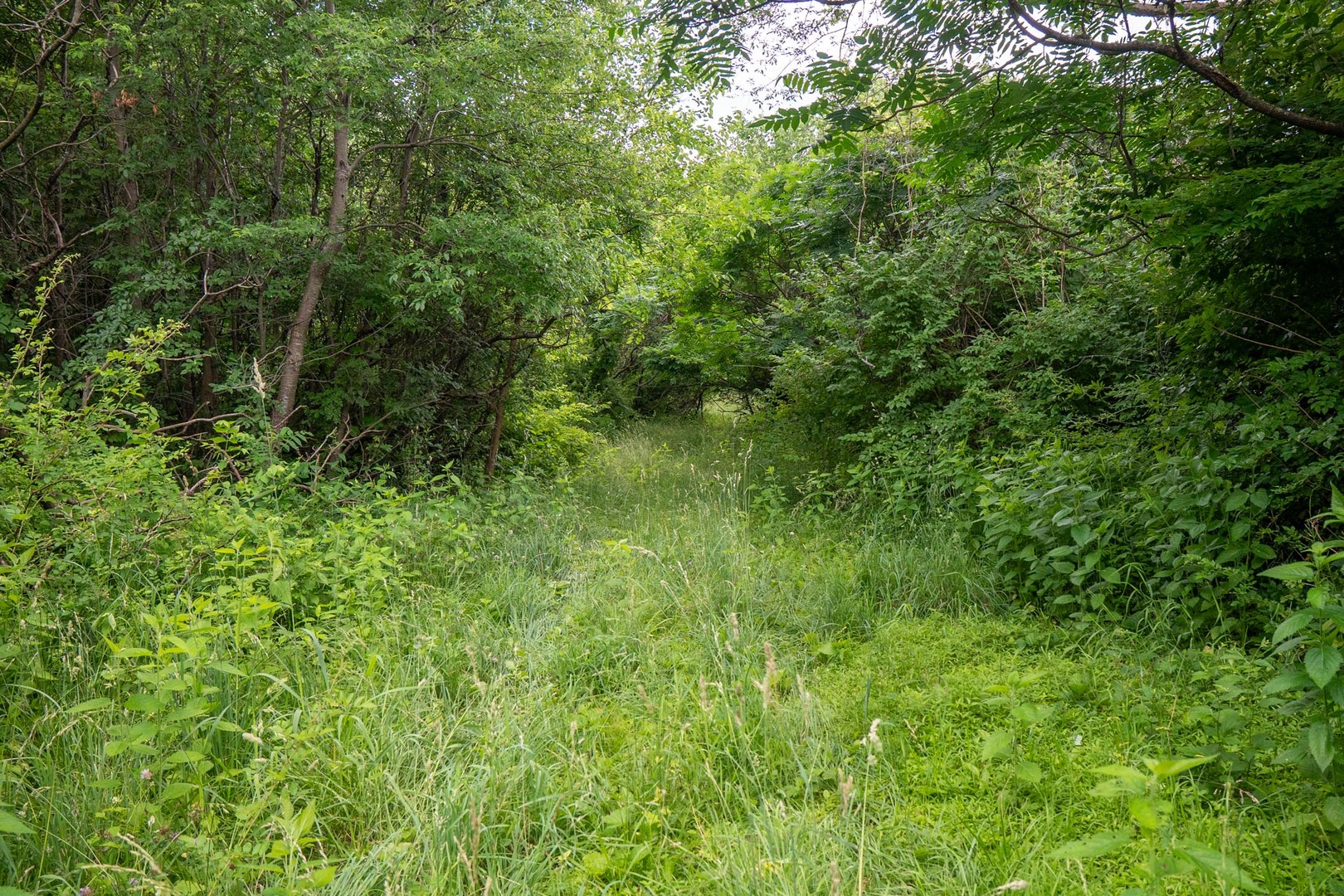 13682 Stateline Road Property Photo 9