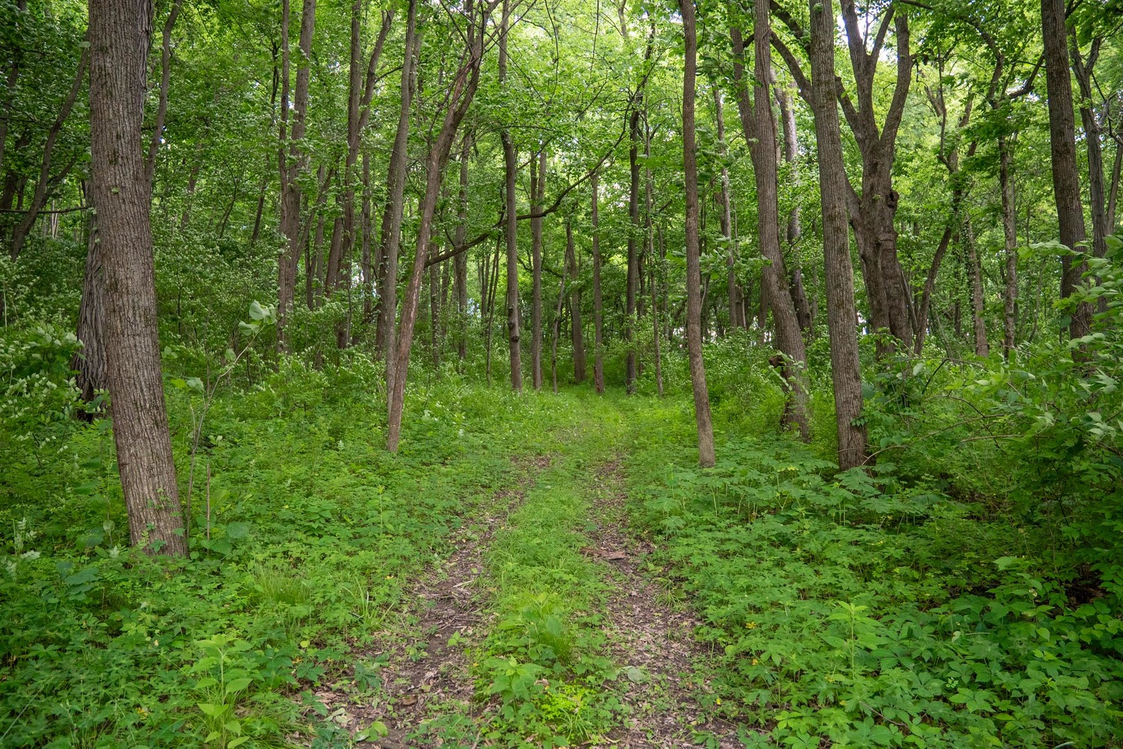 13682 Stateline Road Property Photo 10
