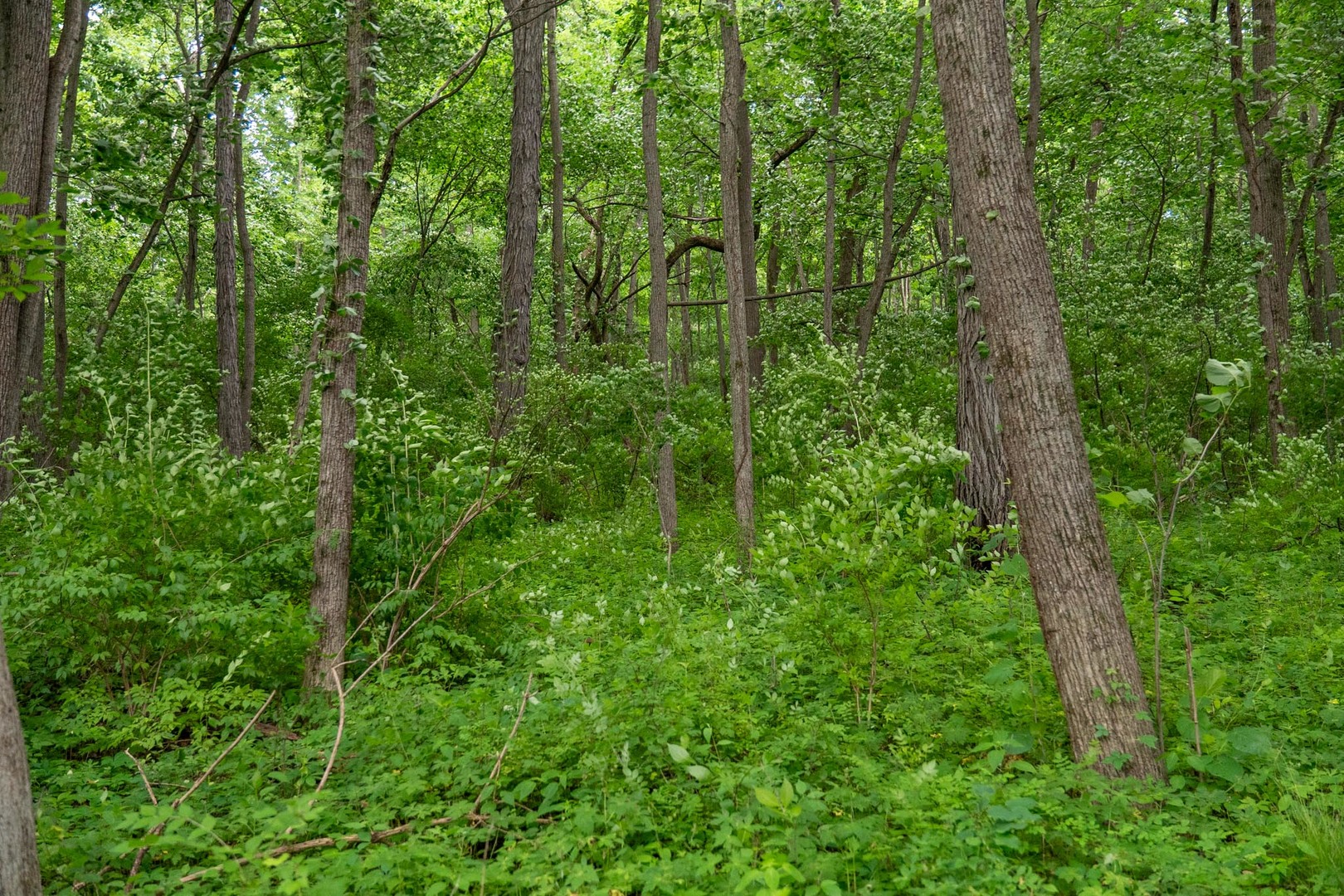 13682 Stateline Road Property Photo 11