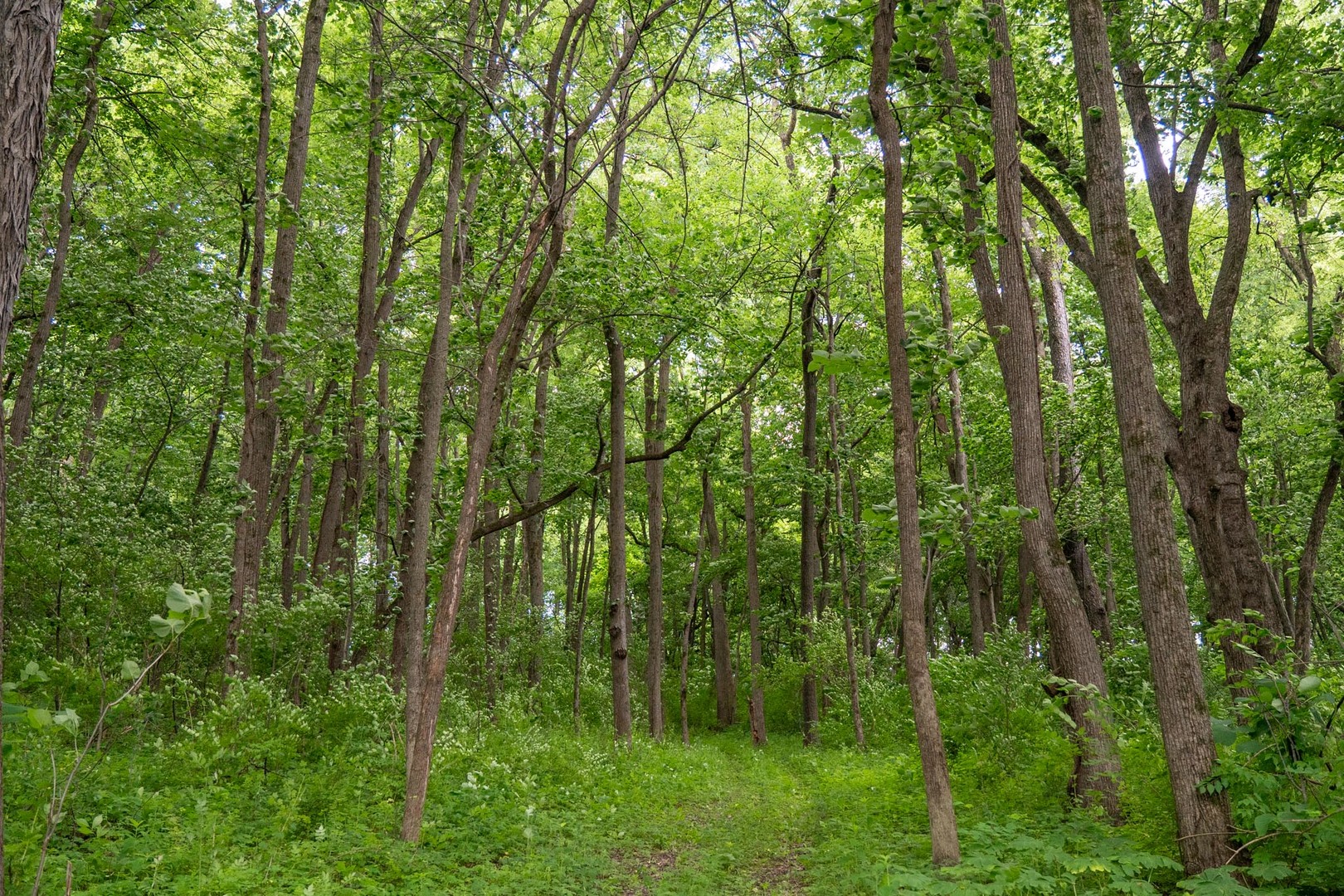 13682 Stateline Road Property Photo 12