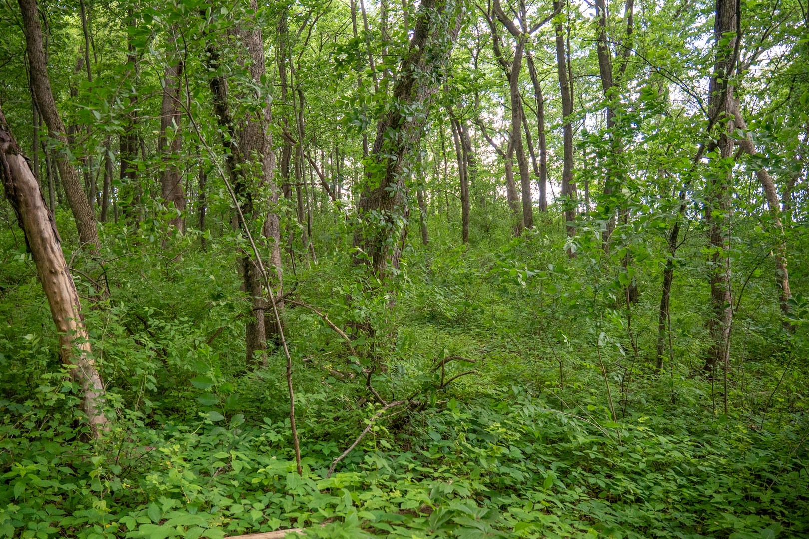 13682 Stateline Road Property Photo 13