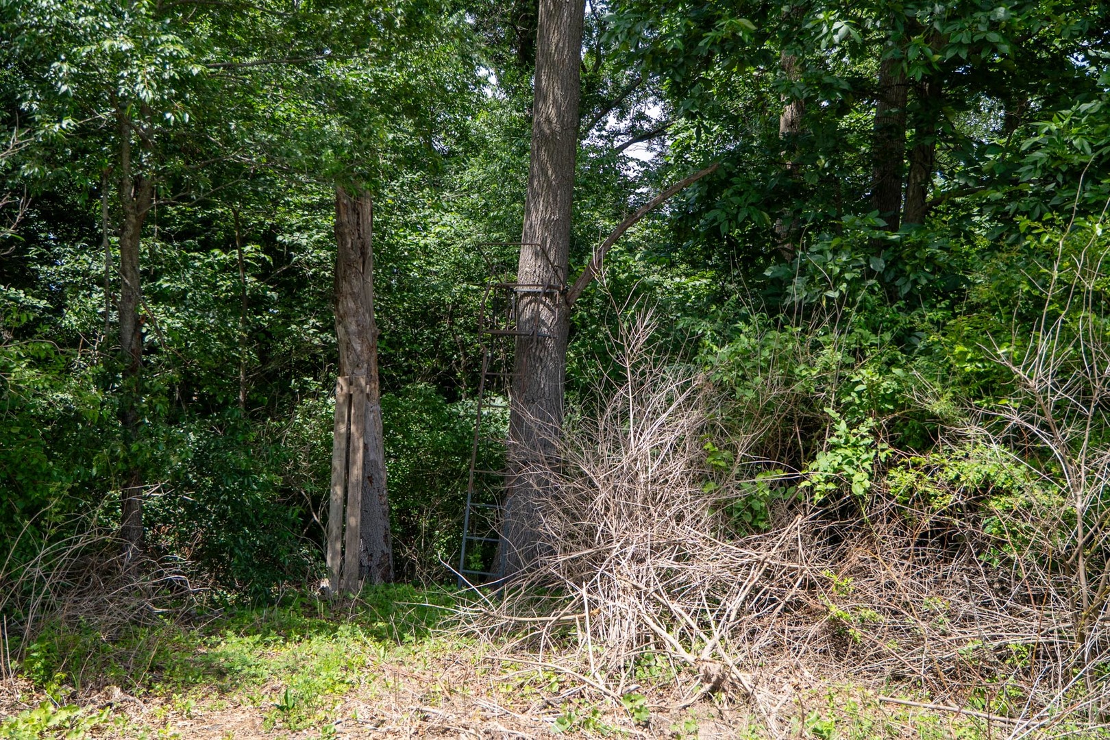 13682 Stateline Road Property Photo 16