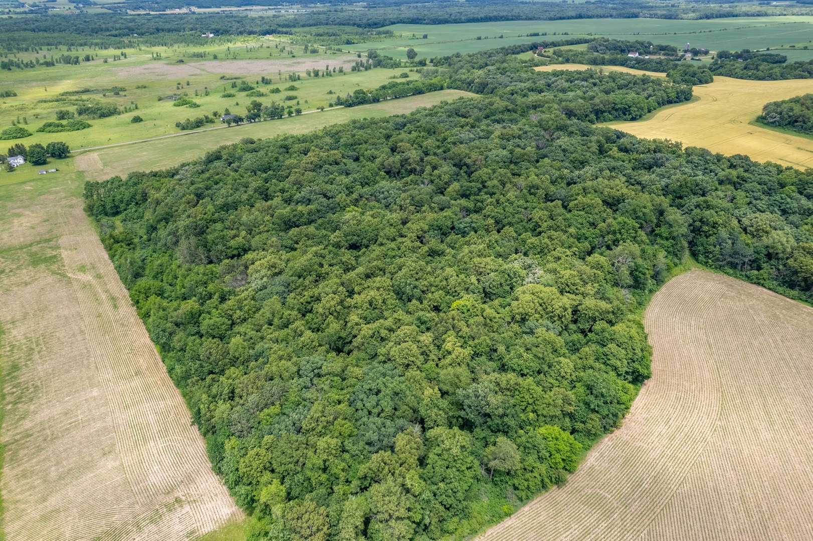 13682 Stateline Road Property Photo 59