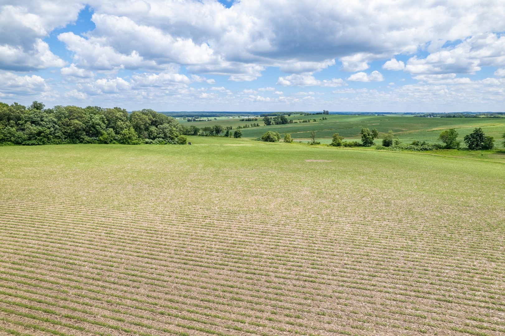 13682 Stateline Road Property Photo 60