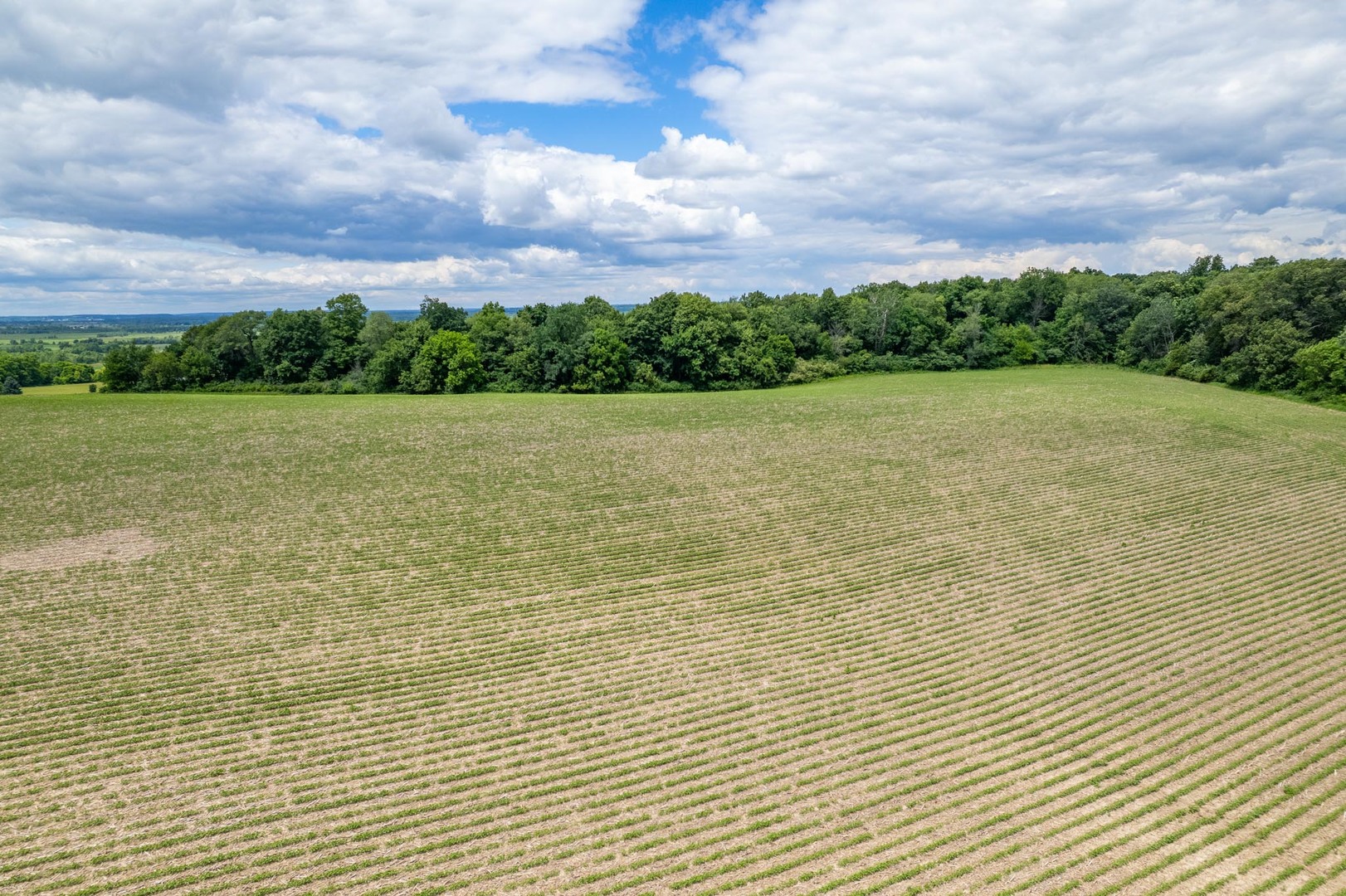 13682 Stateline Road Property Photo 64