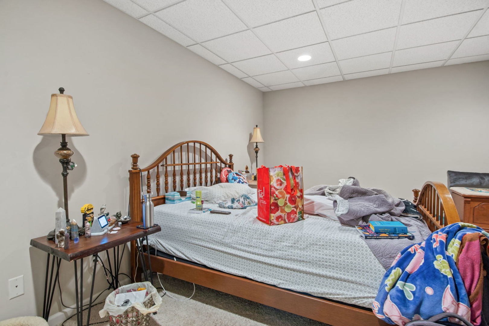 3n874 John Greenleaf Whittier Place Property Photo 46