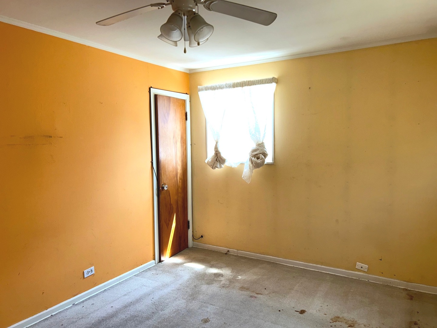 2222 Spruce Road Property Photo 15