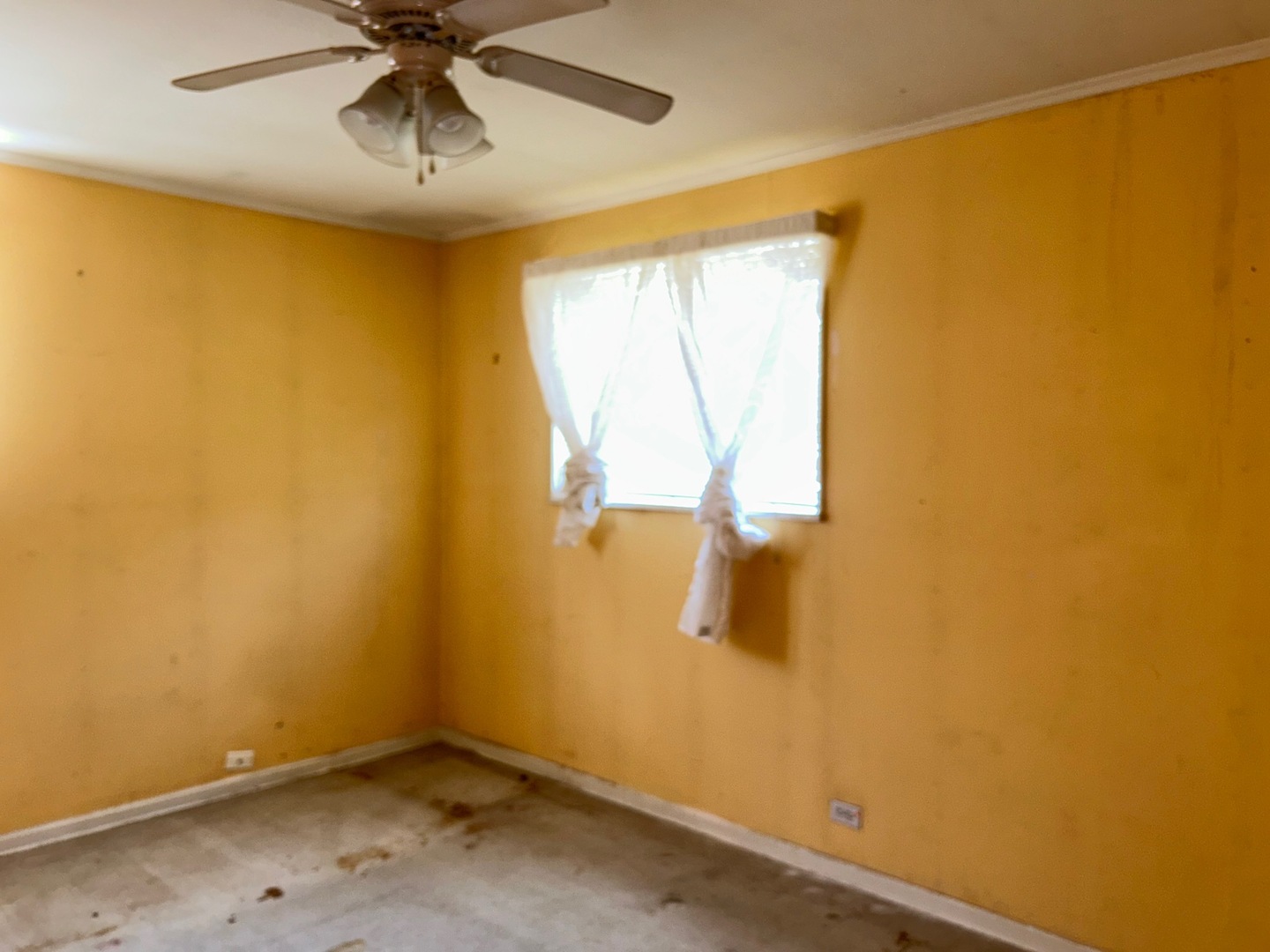 2222 Spruce Road Property Photo 19