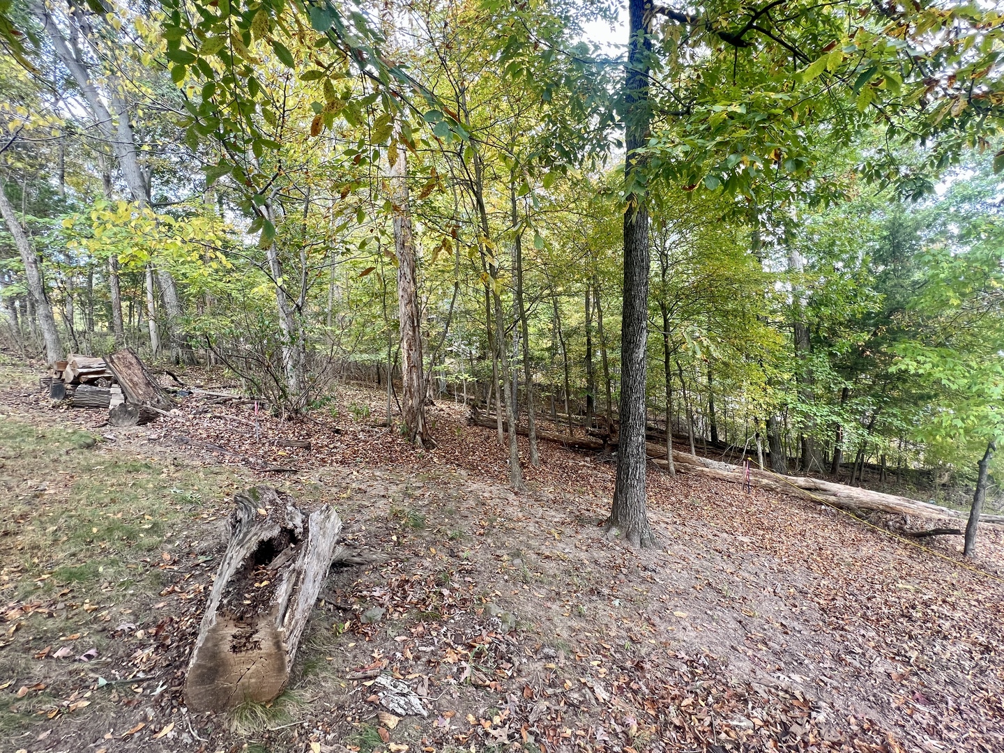 0 Cardinal Ln & Mark Dr Drive Property Photo 1