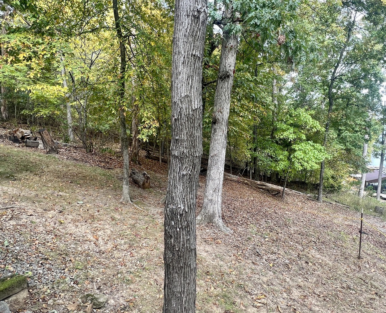 0 Cardinal Ln & Mark Dr Drive Property Photo 2
