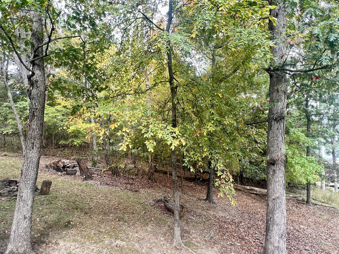 0 Cardinal Ln & Mark Dr Drive Property Photo 3
