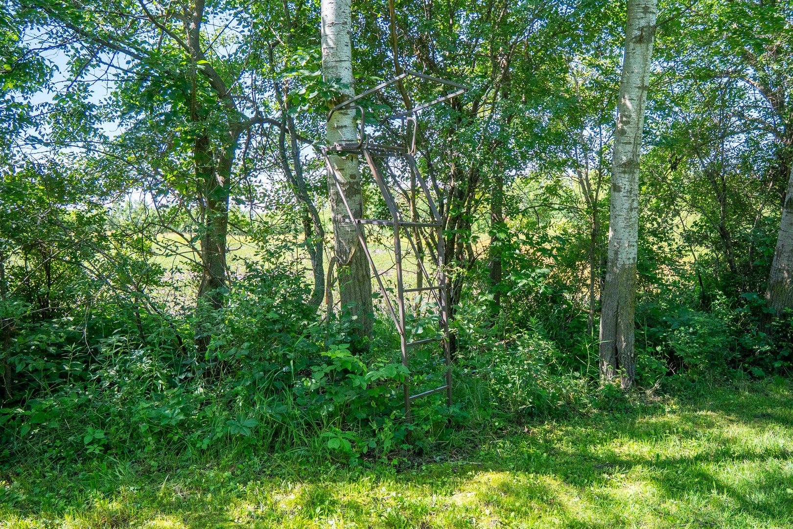 0 Inlet Road Property Photo 59