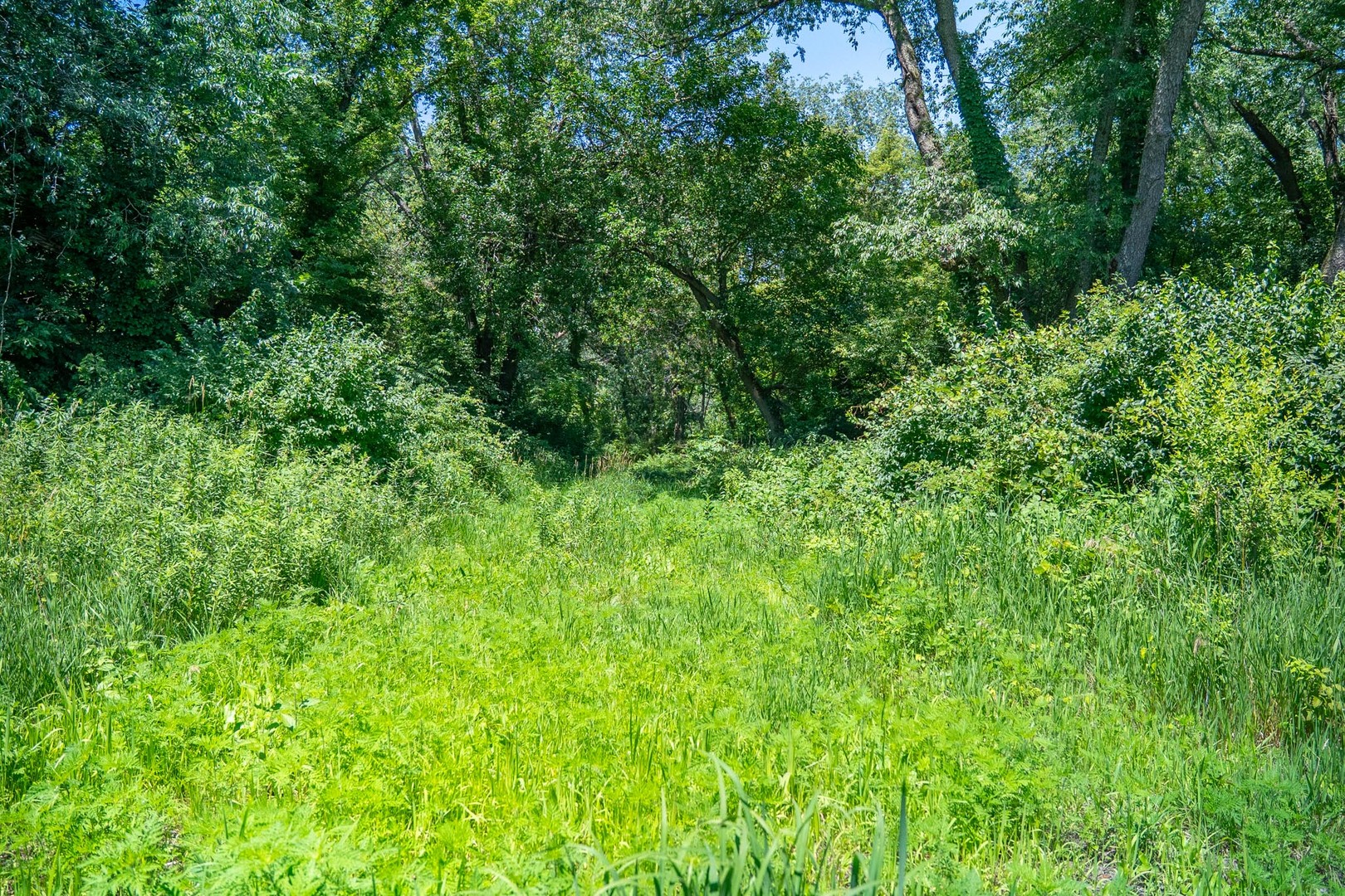 0 Inlet Road Property Photo 71