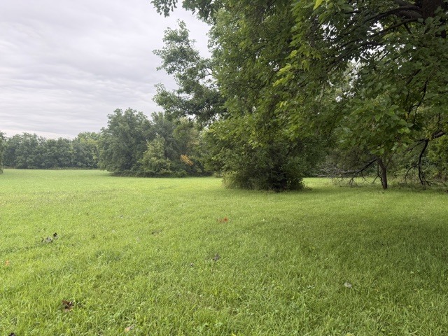 1310 Cutter Avenue Property Photo 4