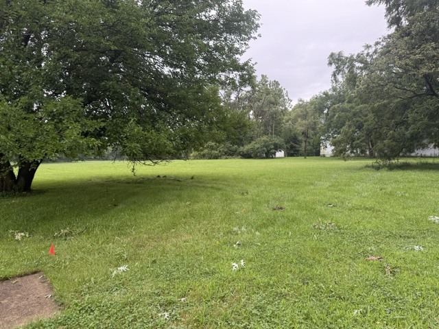 1310 Cutter Avenue Property Photo 8