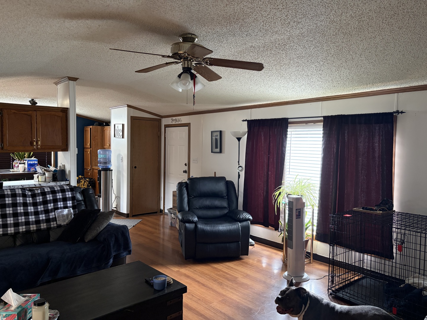11 Beech Street Property Photo 4