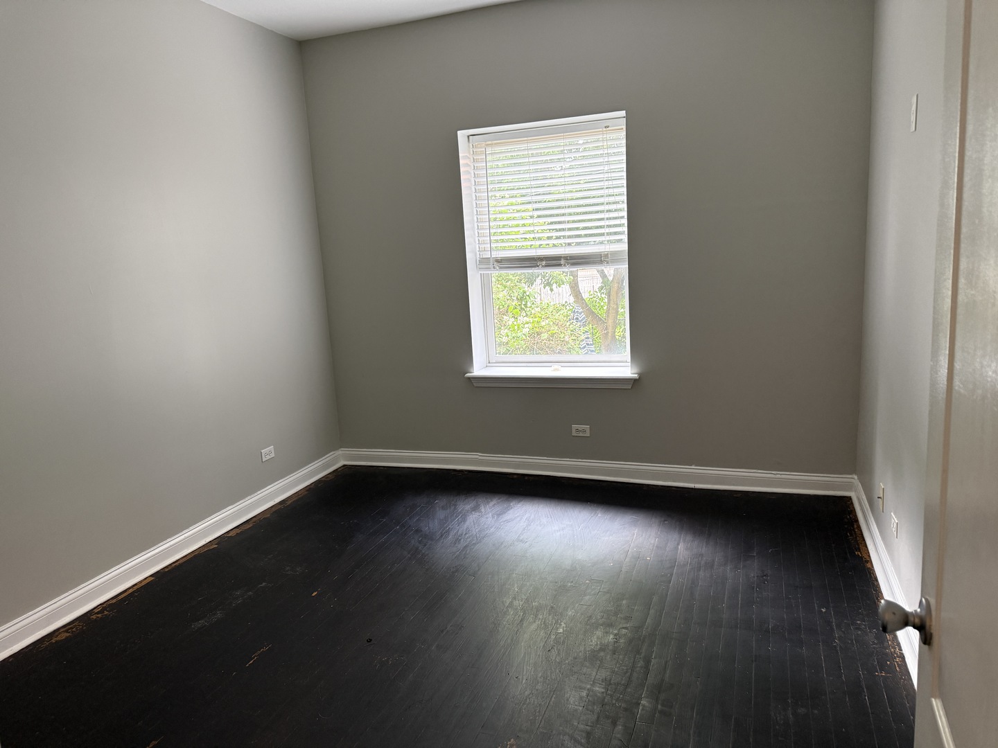 5940 S King Drive 2e Property Photo 4