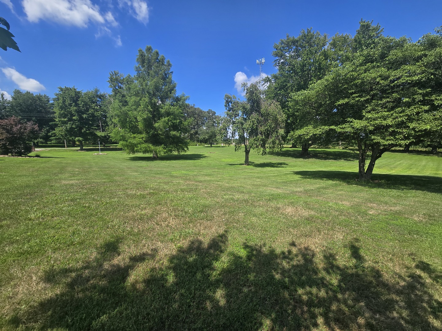 11957 E Harrison Road Property Photo 6