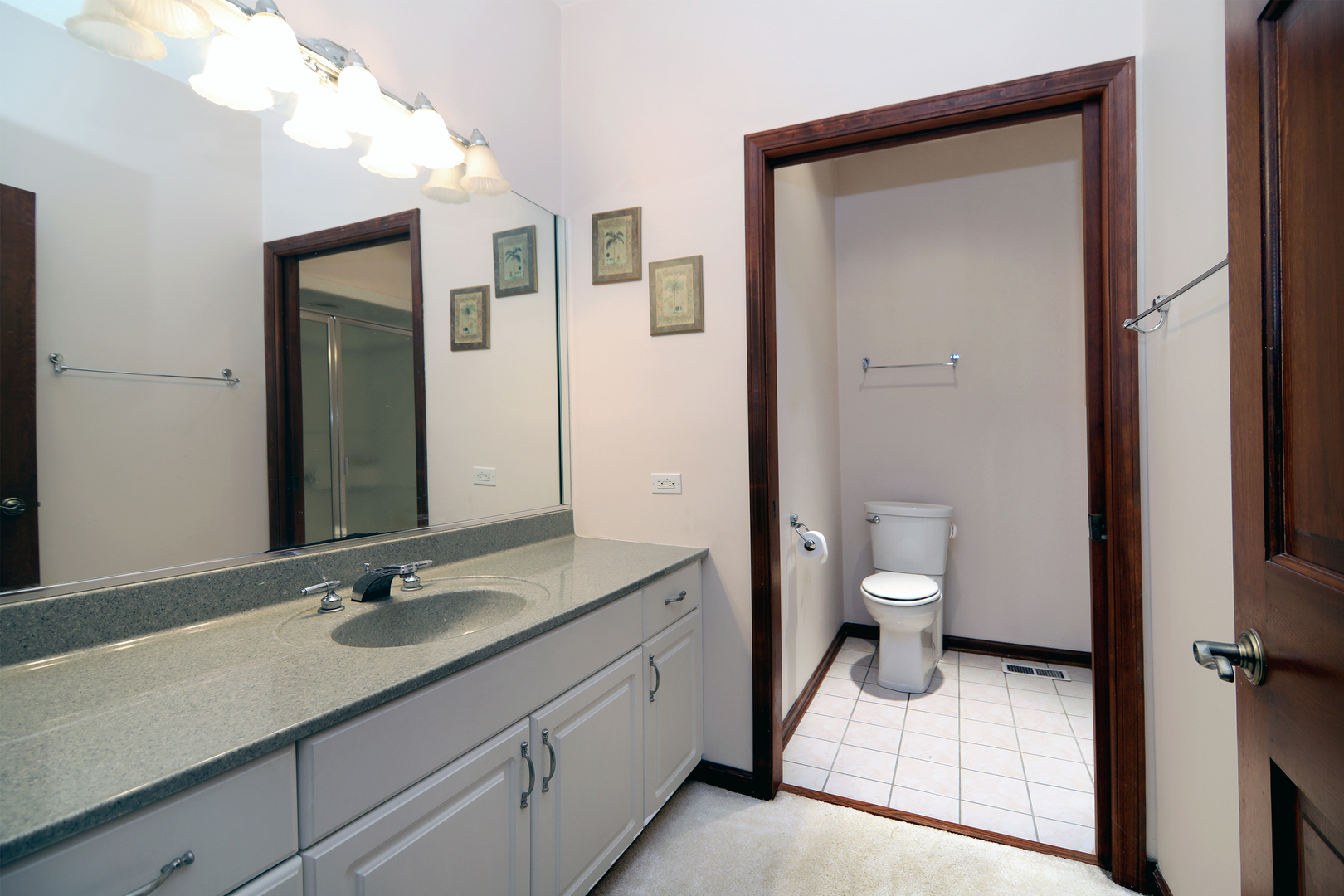 26502 S Winfield Road Property Photo 16