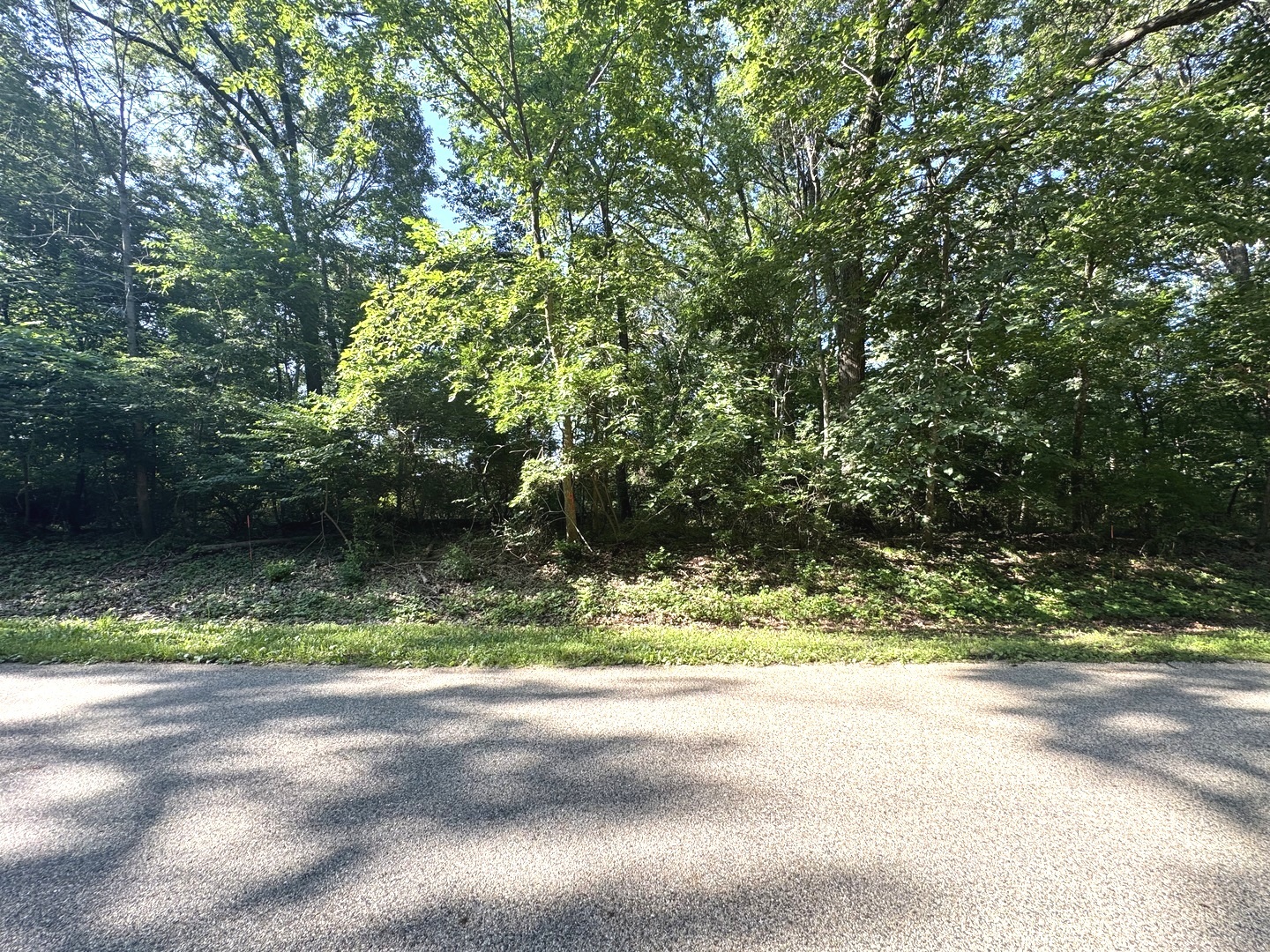 Lot 90 Lake Thunderbird Drive Property Photo 1