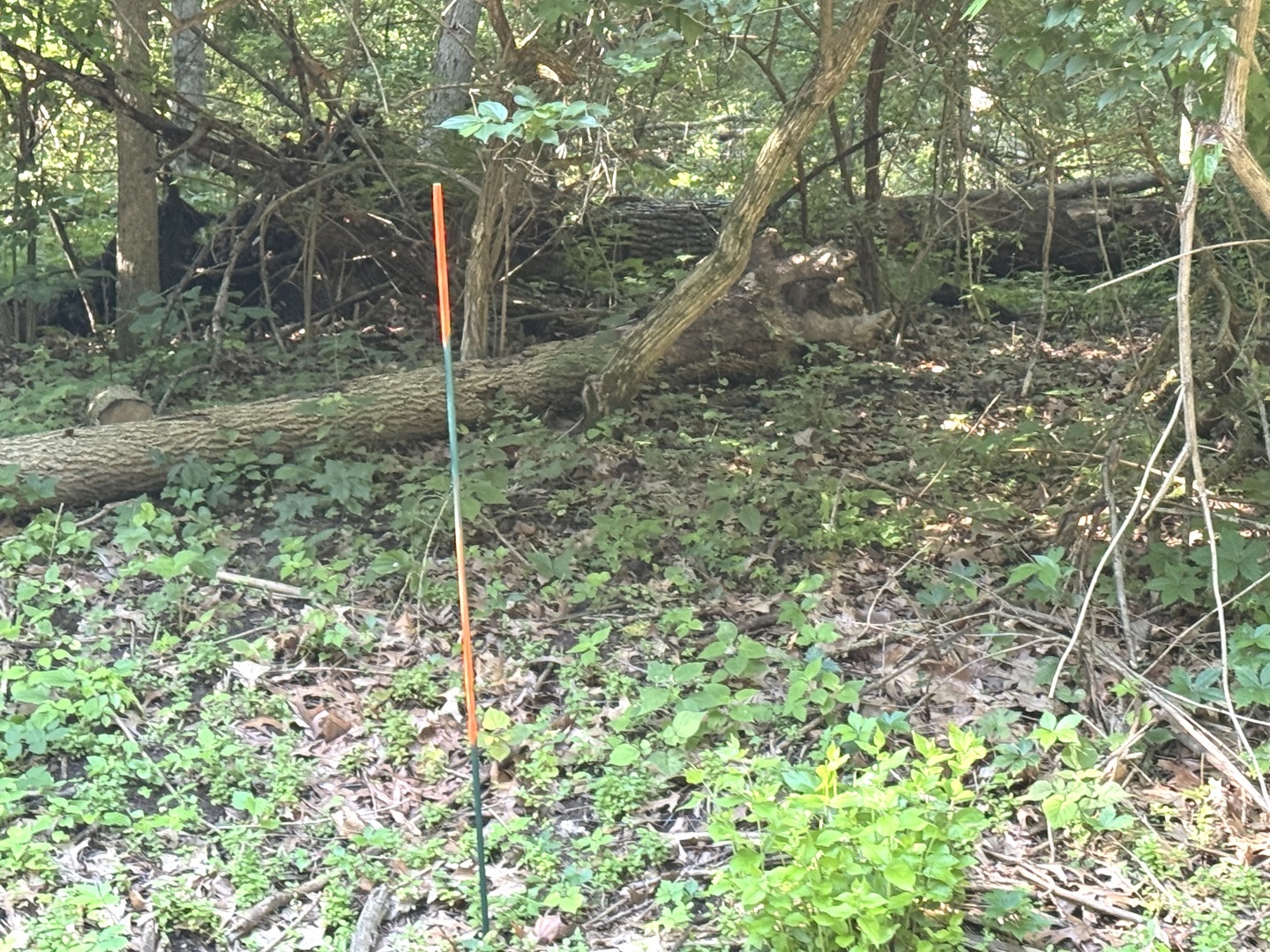 Lot 90 Lake Thunderbird Drive Property Photo 2