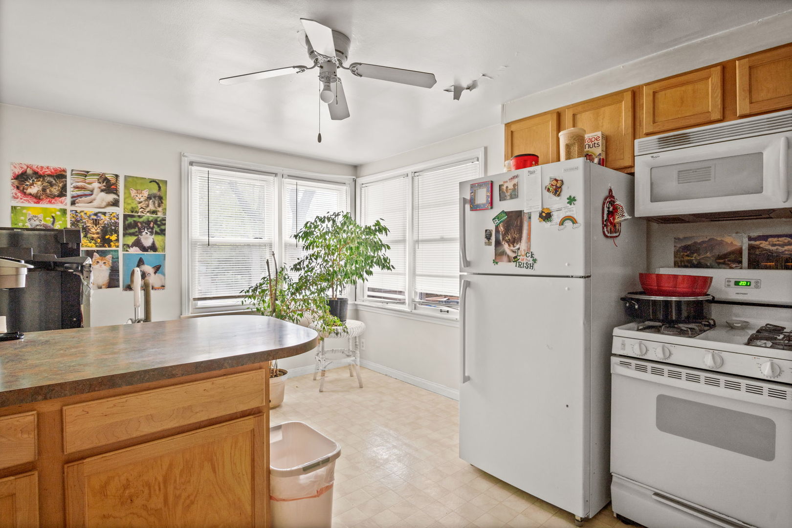107 N Mallory Avenue Property Photo 29