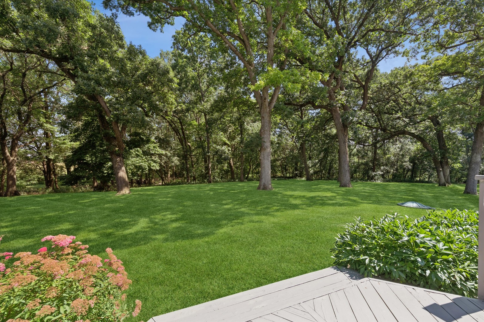 22801 W Glenhurst Road Property Photo 40