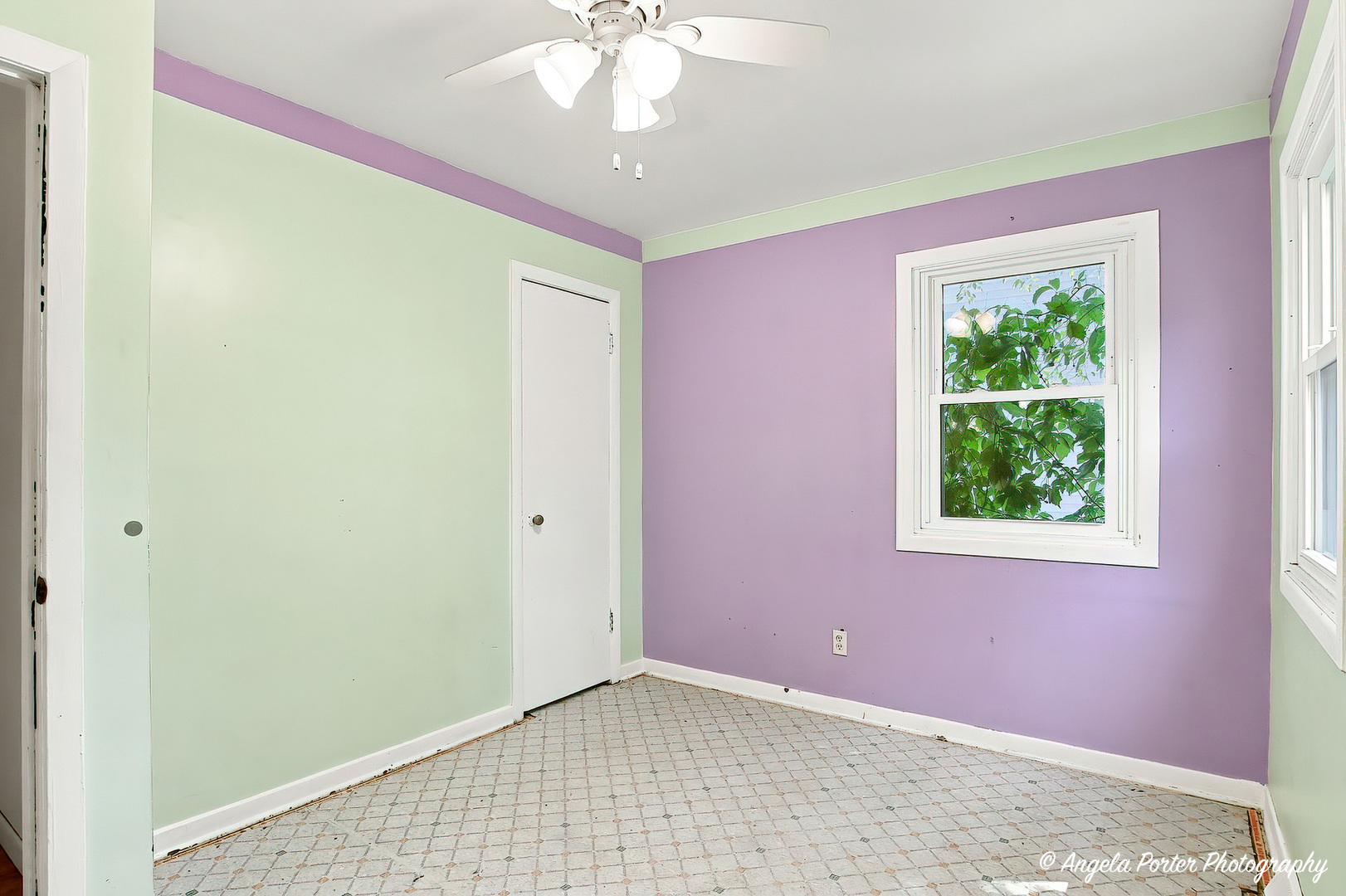 513 Rand Road Property Photo 4