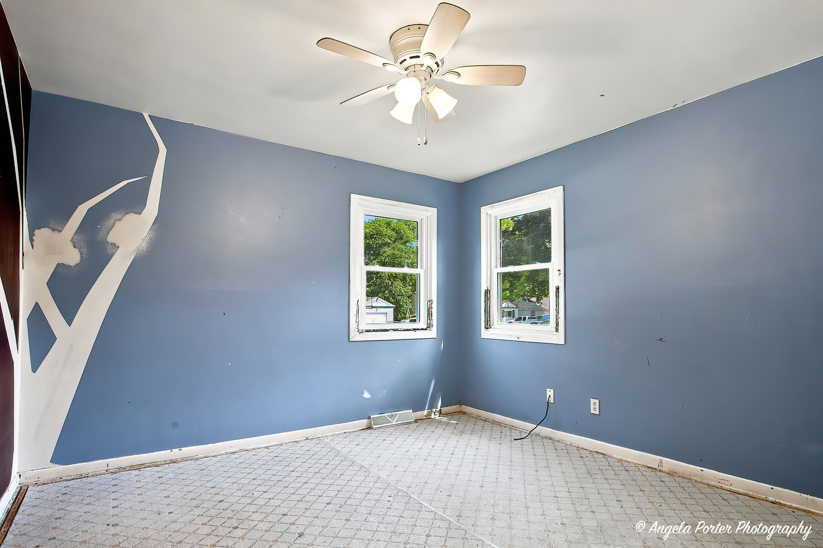 513 Rand Road Property Photo 5