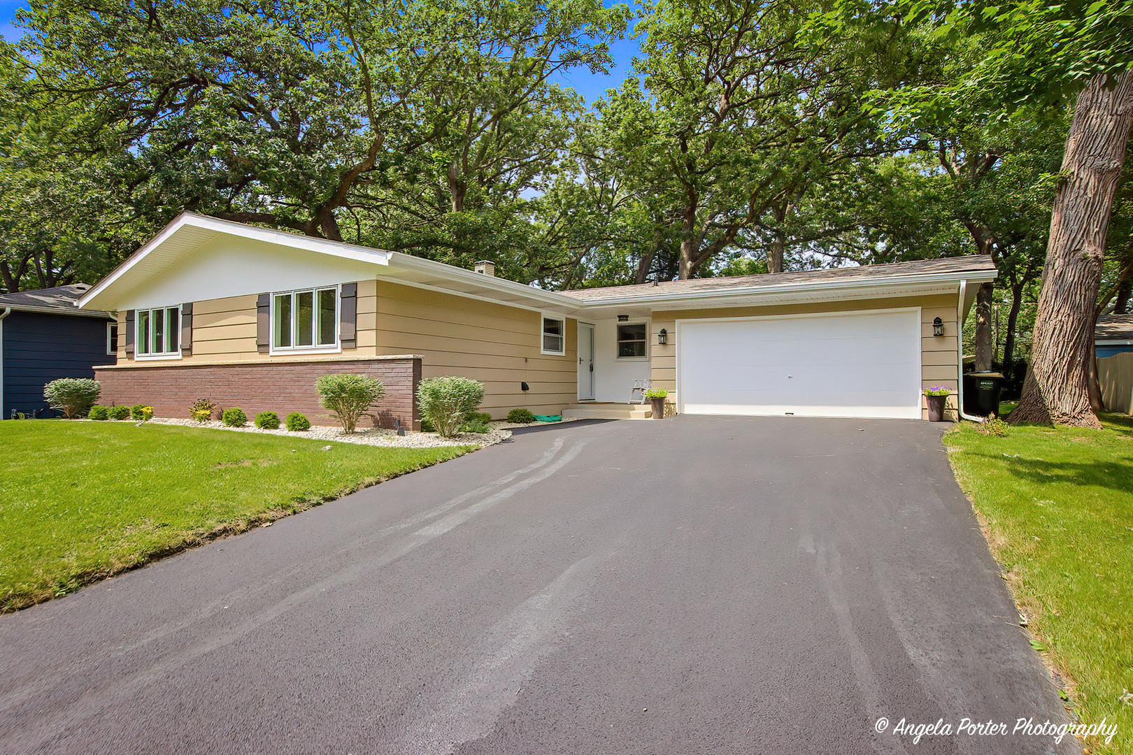 1403 Dairy Lane Property Photo 1