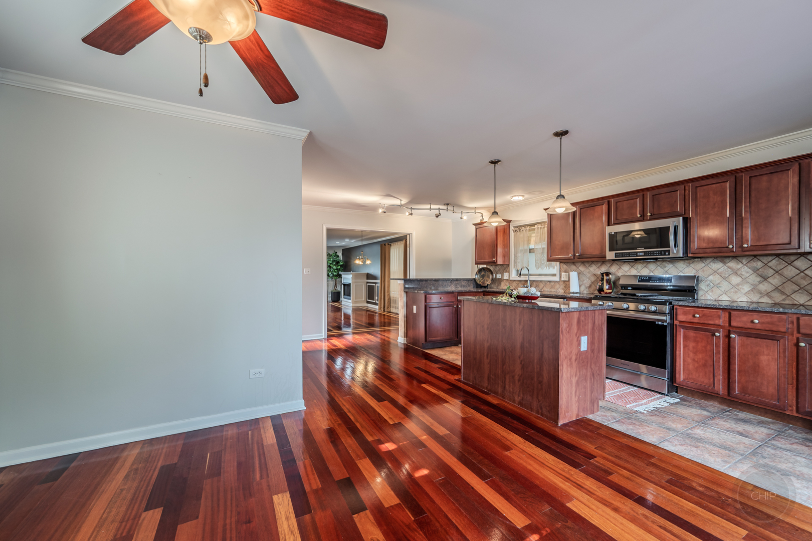 1138 W 95th Place Property Photo 16