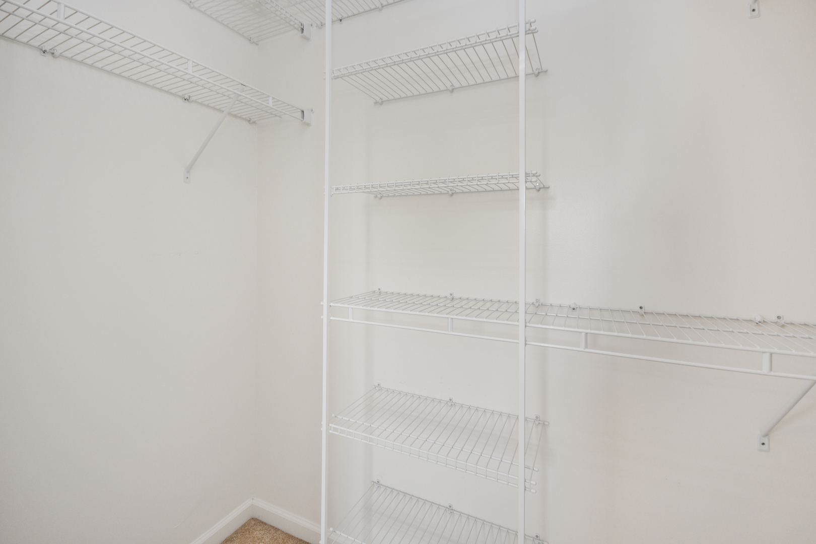 1036 Homestead Drive Property Photo 32