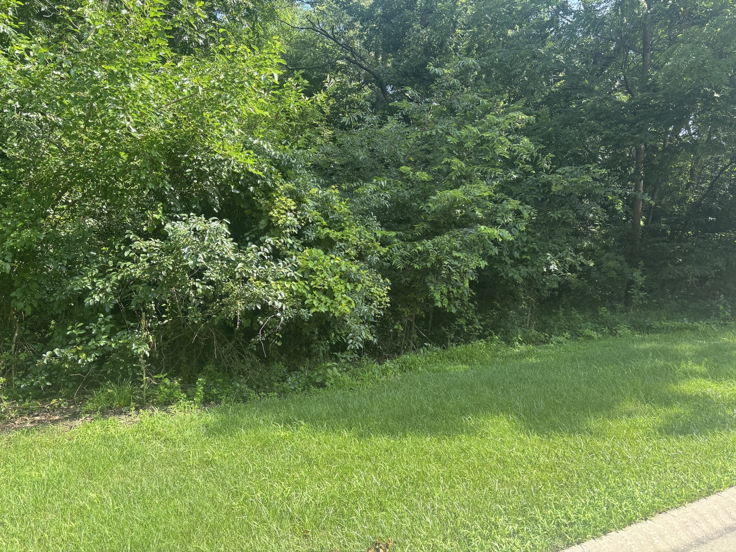 1182 Deerpath Court Property Photo 1