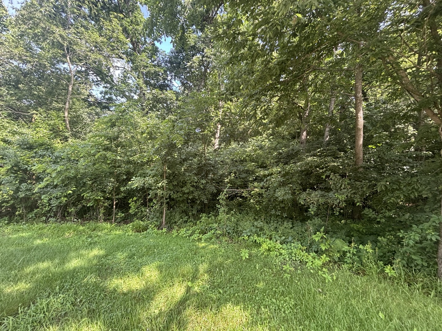1182 Deerpath Court Property Photo 2