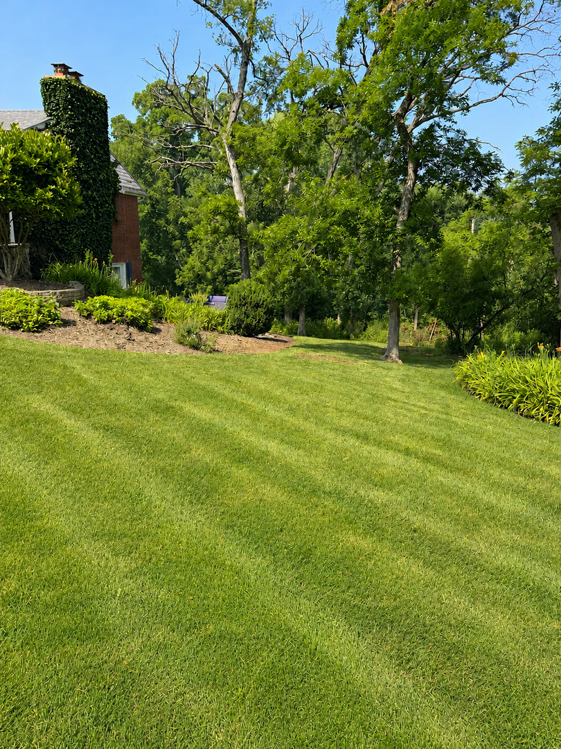 264 Biltmore Drive Property Photo 45