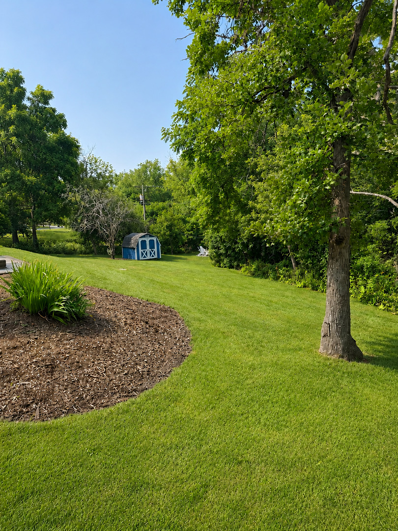 264 Biltmore Drive Property Photo 46