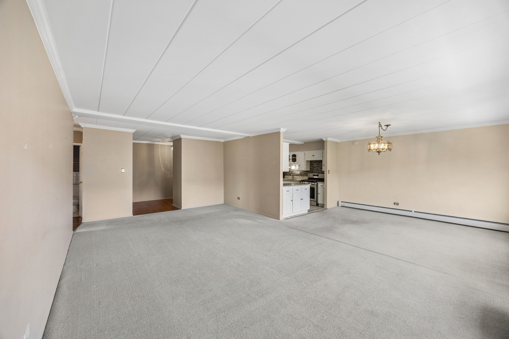 1139 Leavitt Avenue 305 Property Photo 4