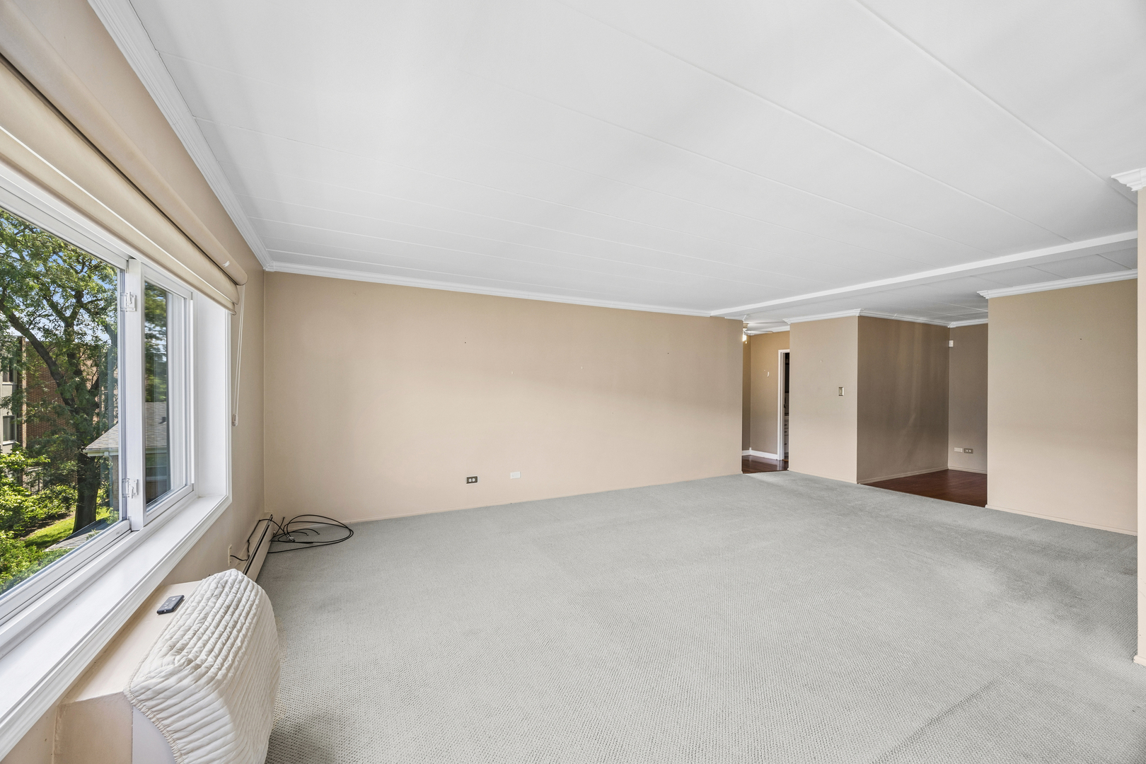 1139 Leavitt Avenue 305 Property Photo 5