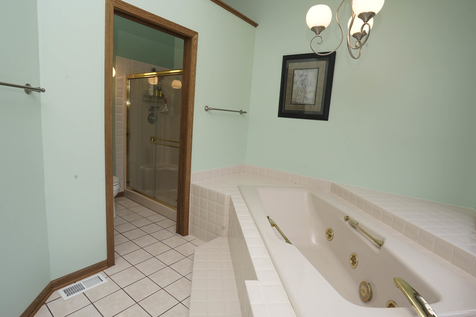 520 Schauer Lane Property Photo 35