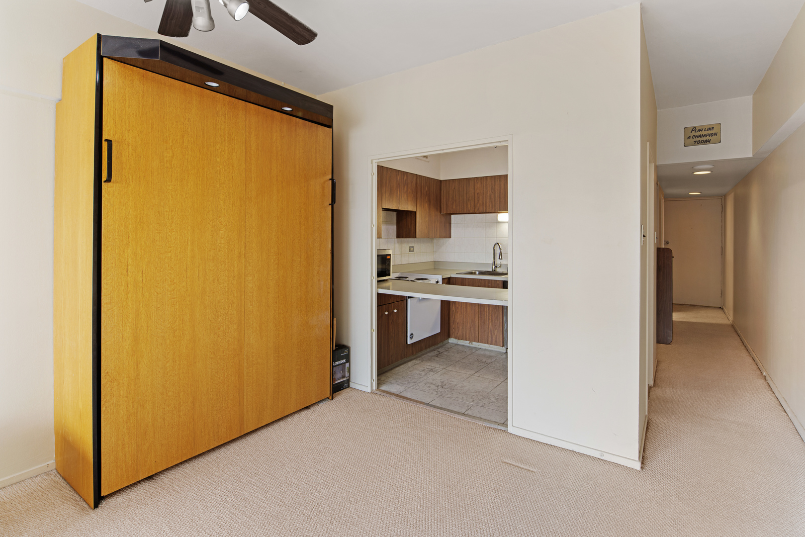 175 E Delaware Place 4921 Property Photo 6