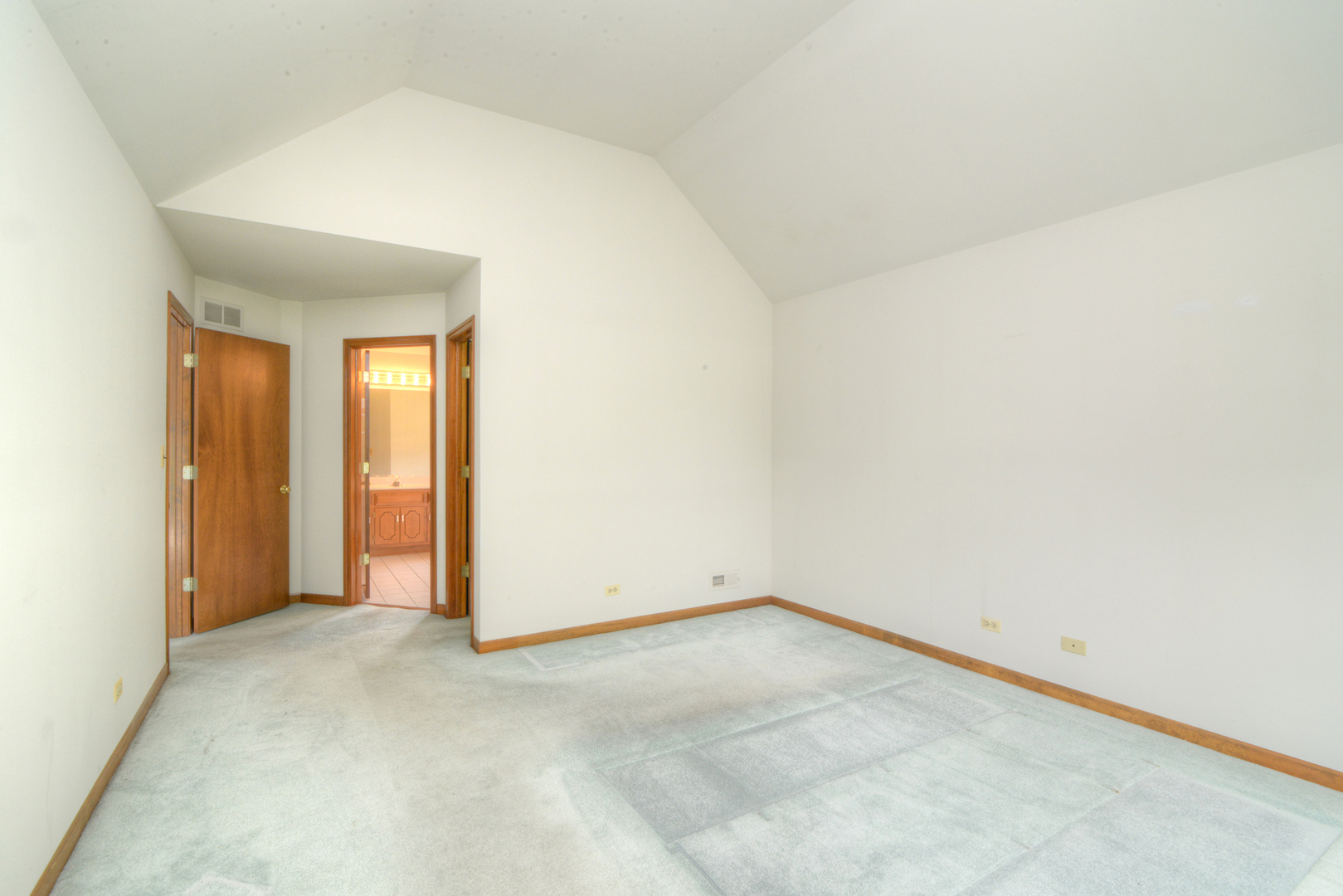 650 Lavina Court Property Photo 19