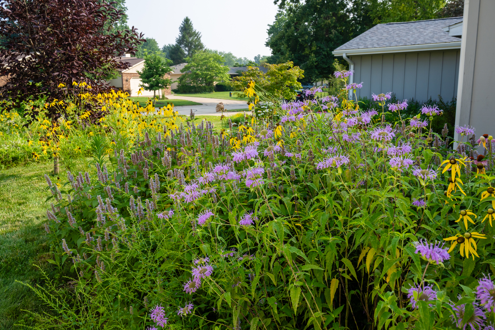 1813 Old Maple Lane Property Photo 4